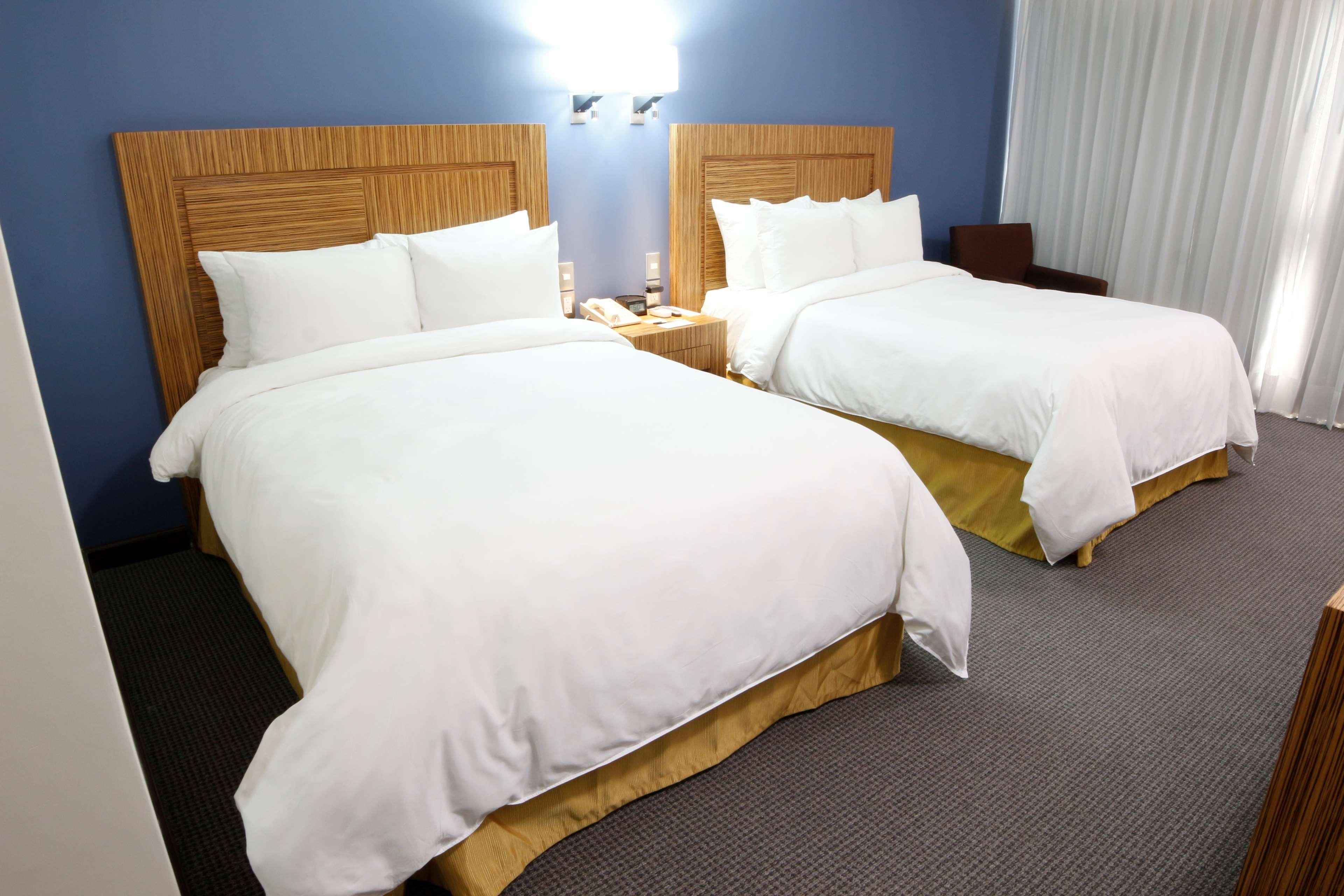 Radisson Hotel & Convention Center 톨루카 외부 사진